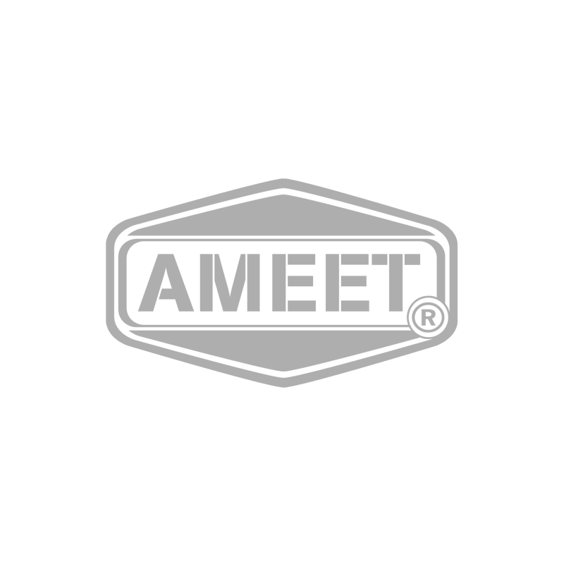 Ameet